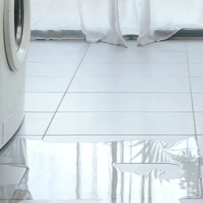 Appliance Leak Cleanup in Opelousas, LA